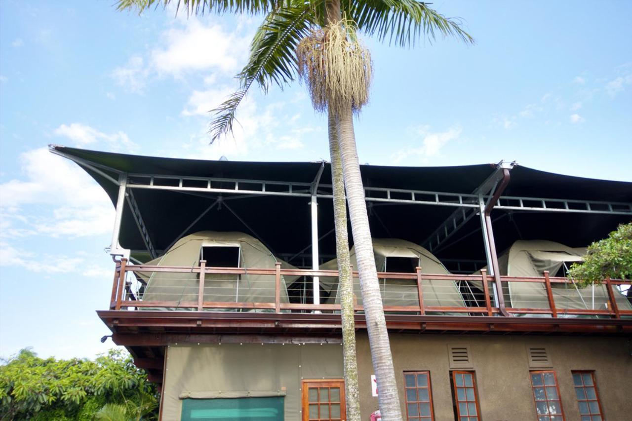 Urban Glamping Tranquil International Backpacking Village Saint Lucia Estuary Eksteriør bilde