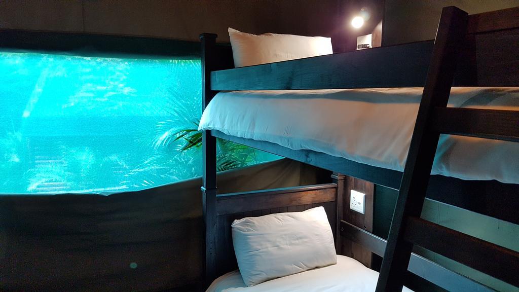 Urban Glamping Tranquil International Backpacking Village Saint Lucia Estuary Eksteriør bilde