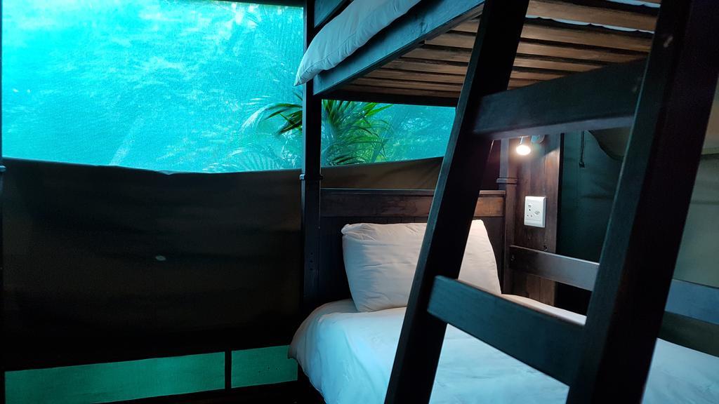 Urban Glamping Tranquil International Backpacking Village Saint Lucia Estuary Eksteriør bilde